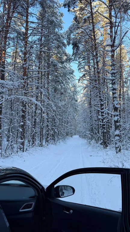 Уютный дом с видом на сосновый лес