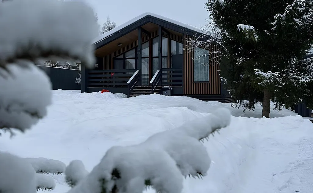 Sorochany Tree House