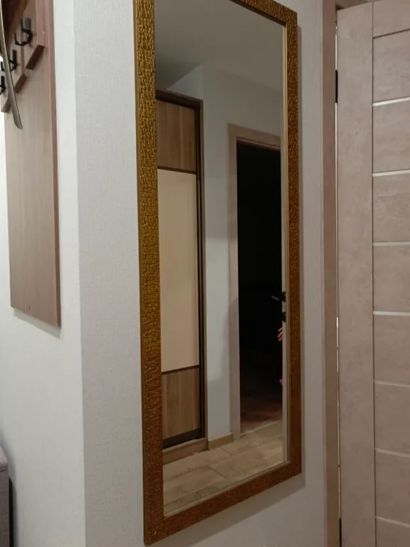 Уютная однокомнатная квартира