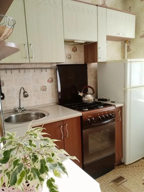 Уютная и чистая квартира в центре города