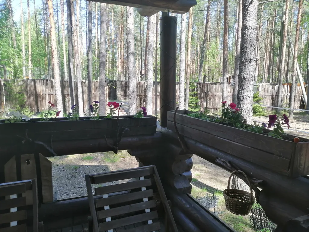 Дом Викинга