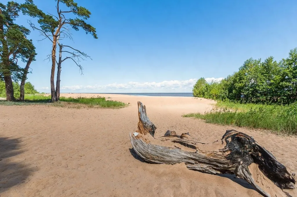Норвежский домик с отдельной баней на дровах