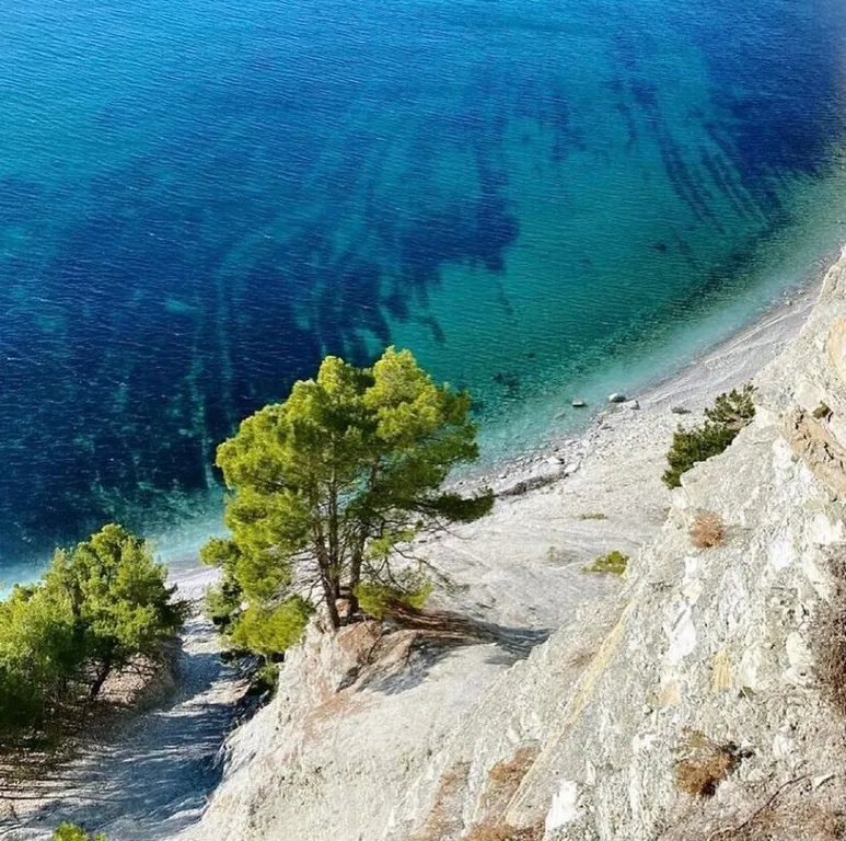 Дом в лесу с видом на море