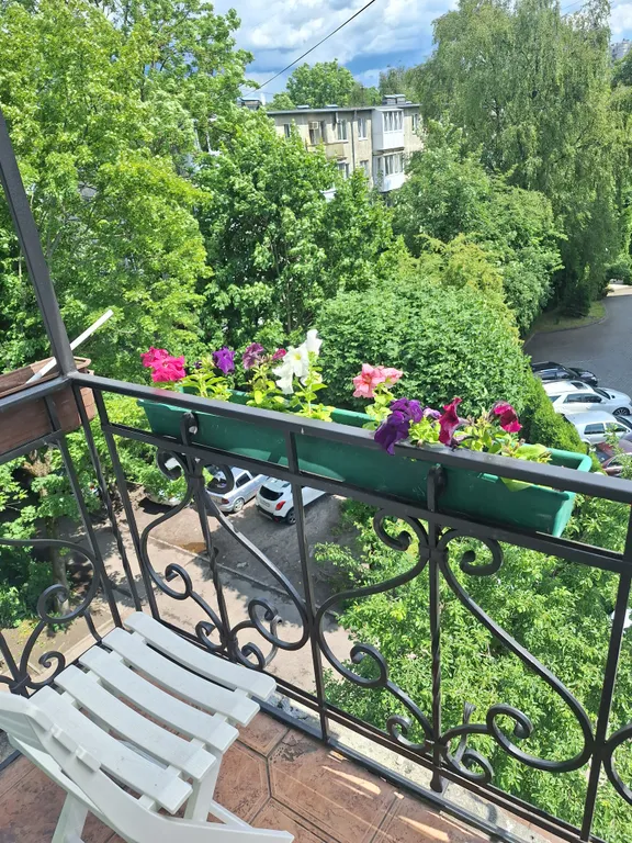 Квартира рядом с Музеем янтаря