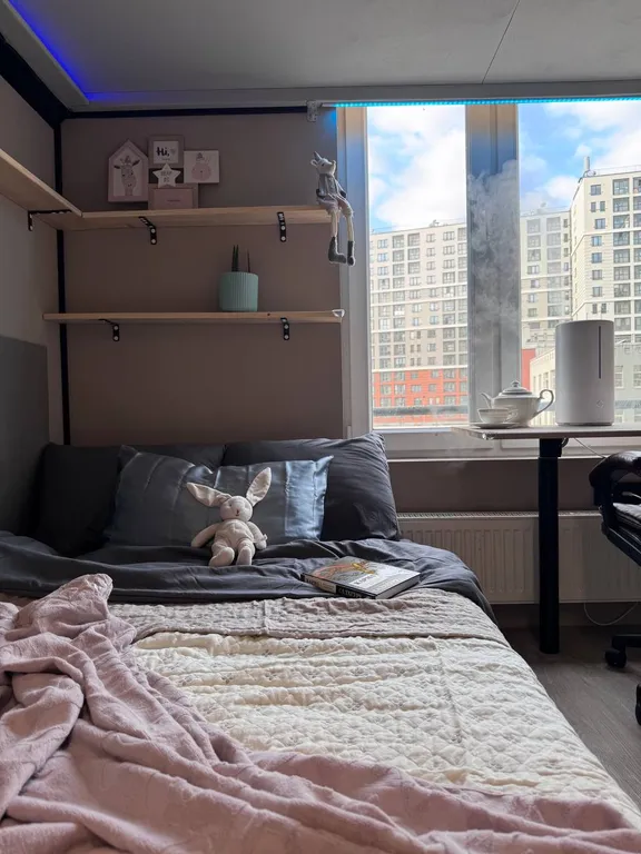 Квартира Фантастическая квартира с видом на Финский залив и лебедями из окна — Санкт-Петербург