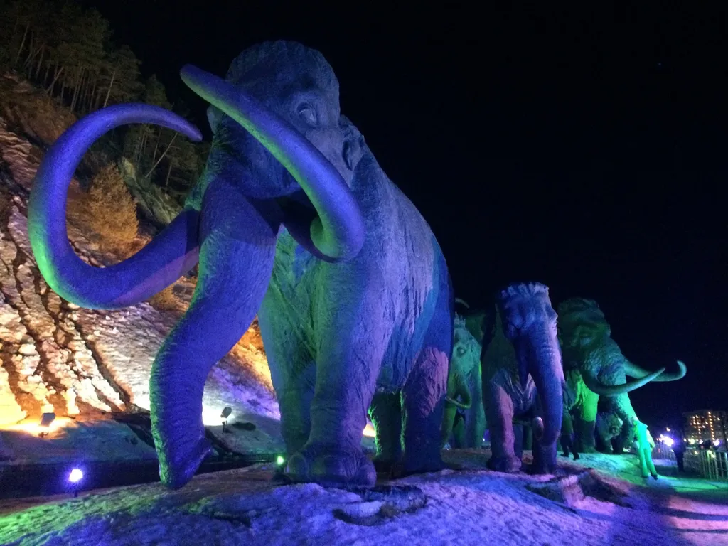 Уютная студия возле археопарка и хвойного урмана