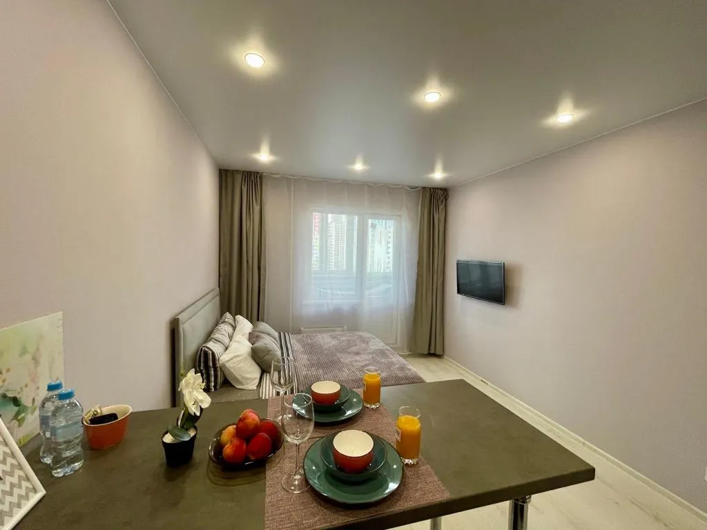 Большая, уютная студия