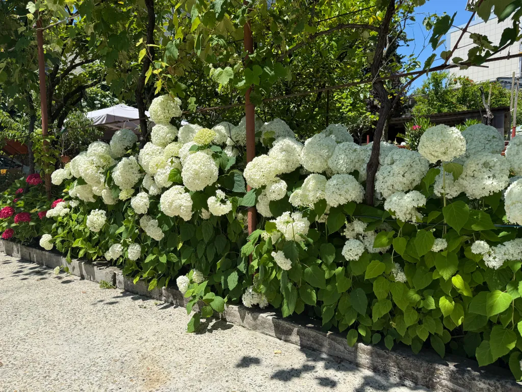 Квартира Квартира BoxHouse Апартамент 2-местный — Сочи