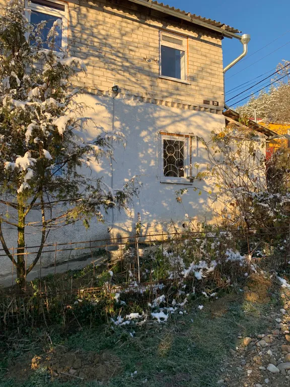 Джилысу transit дача в сосновом бору