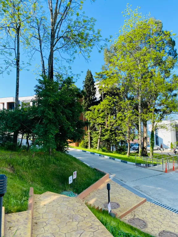 Квартира Апартаменты с бассейном — Адлер