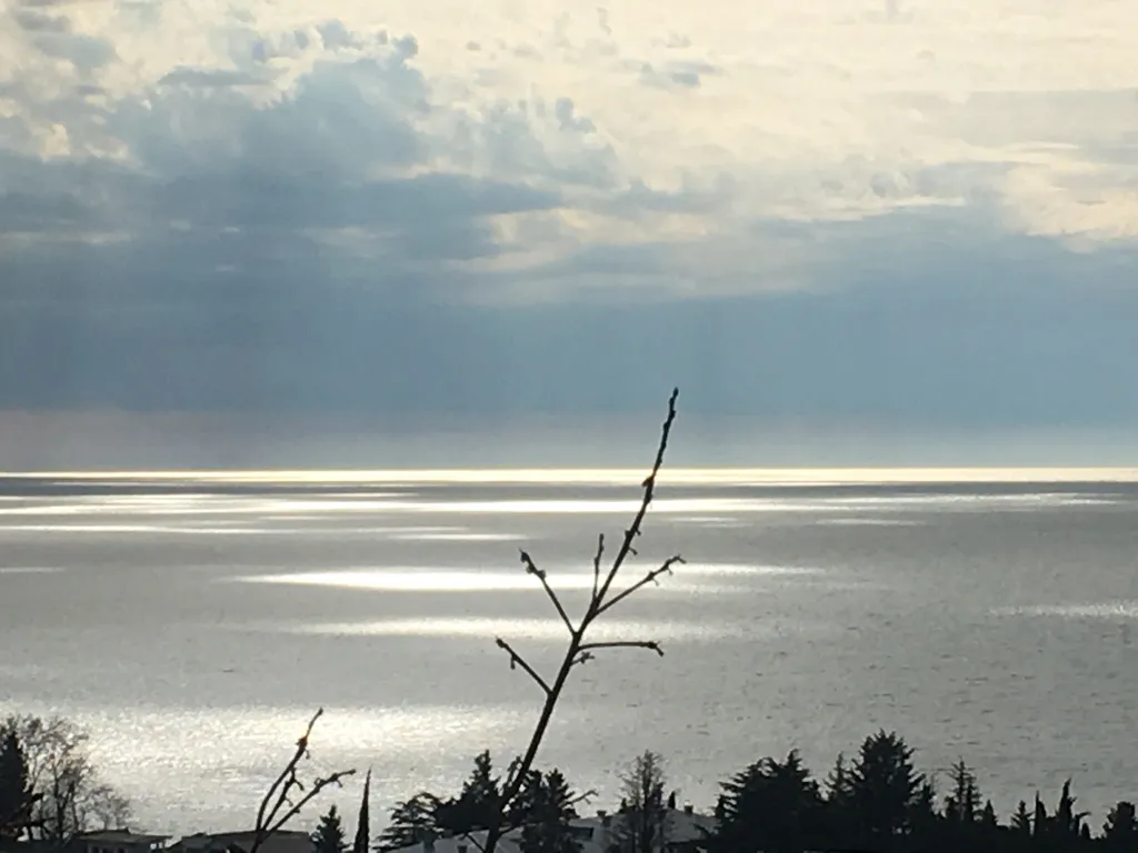 Квартира Комната с кондиционером — Гагра