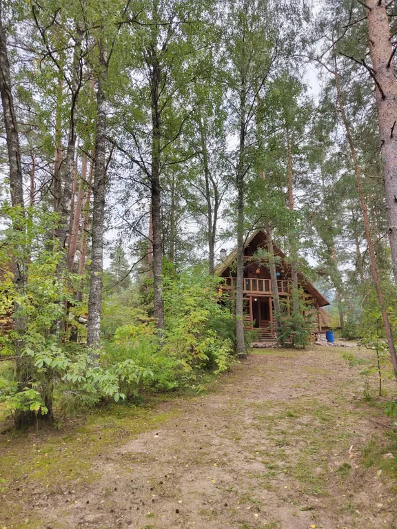 Коттедж Дом для отдыха рядом с рекой Луга — Луга