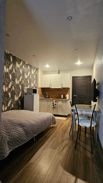 Улучшенная студия вблизи метро Парнас