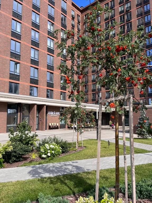 Апартамент в KM Tower Plaza