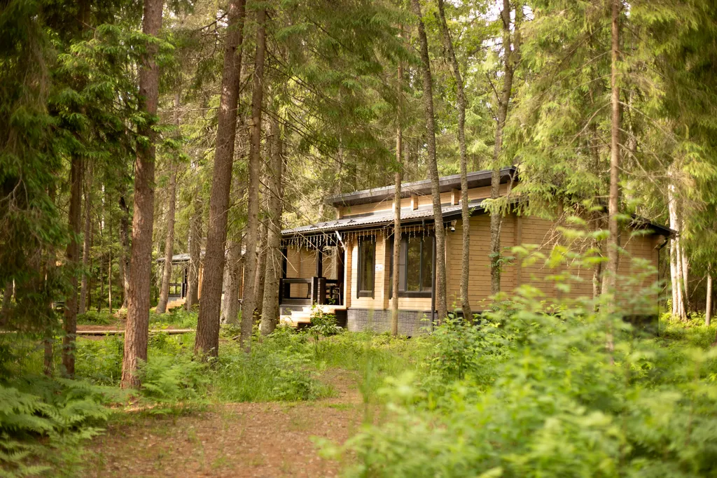 Дом на 6 человек в лесу на берегу озера