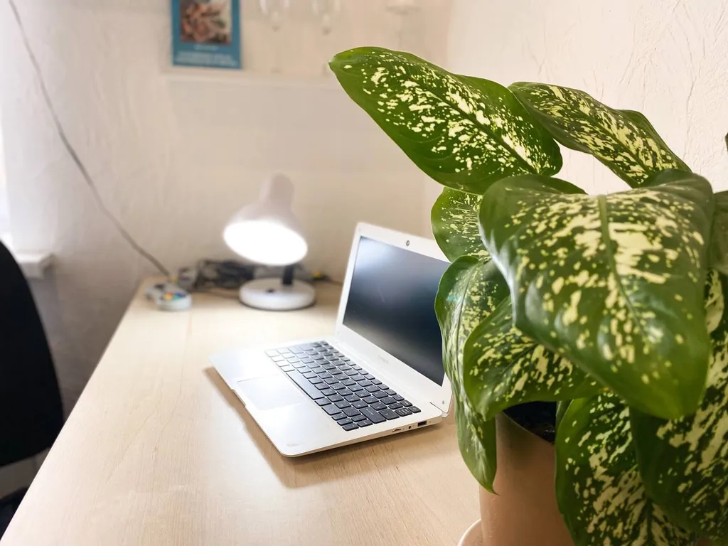 Большая, семейная квартира в центре