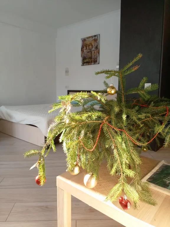 Студия на площади Победы