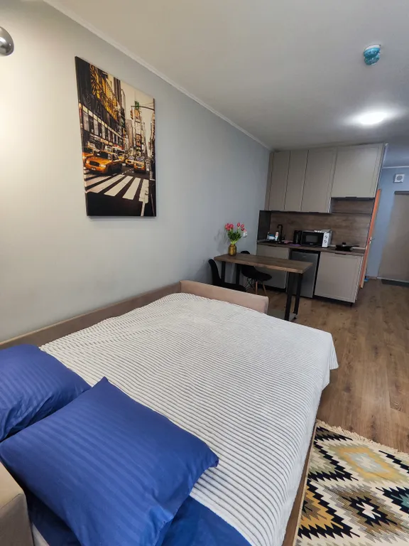 Студия в апартаментах у метро Парнас