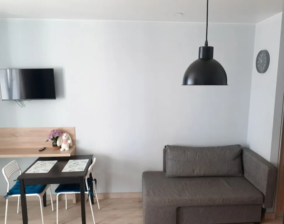 Уютная студия в ЖK Пeтроглиф Парк