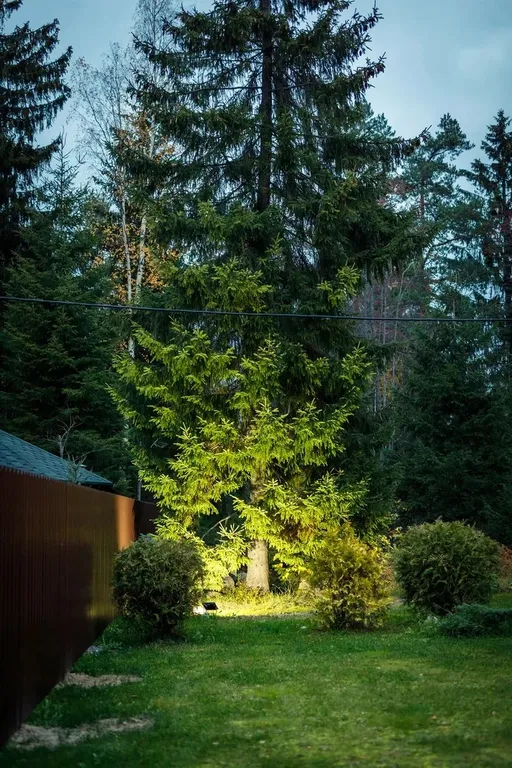 Коттедж Green Forest у Игоры