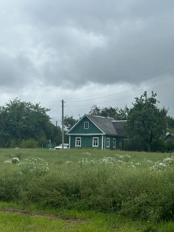 Деревенский домик в лесу