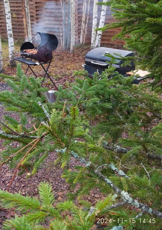 Берлога люкс, коттедж с банным чаном для отдыха с видом на лес и скалы
