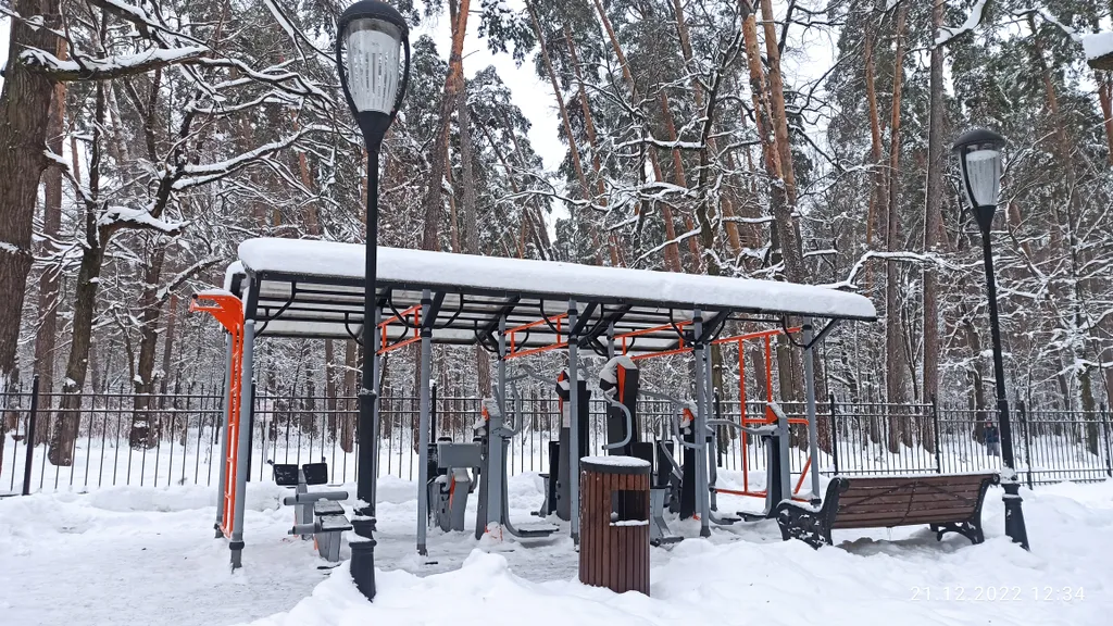 Элитный апартамент в лесу