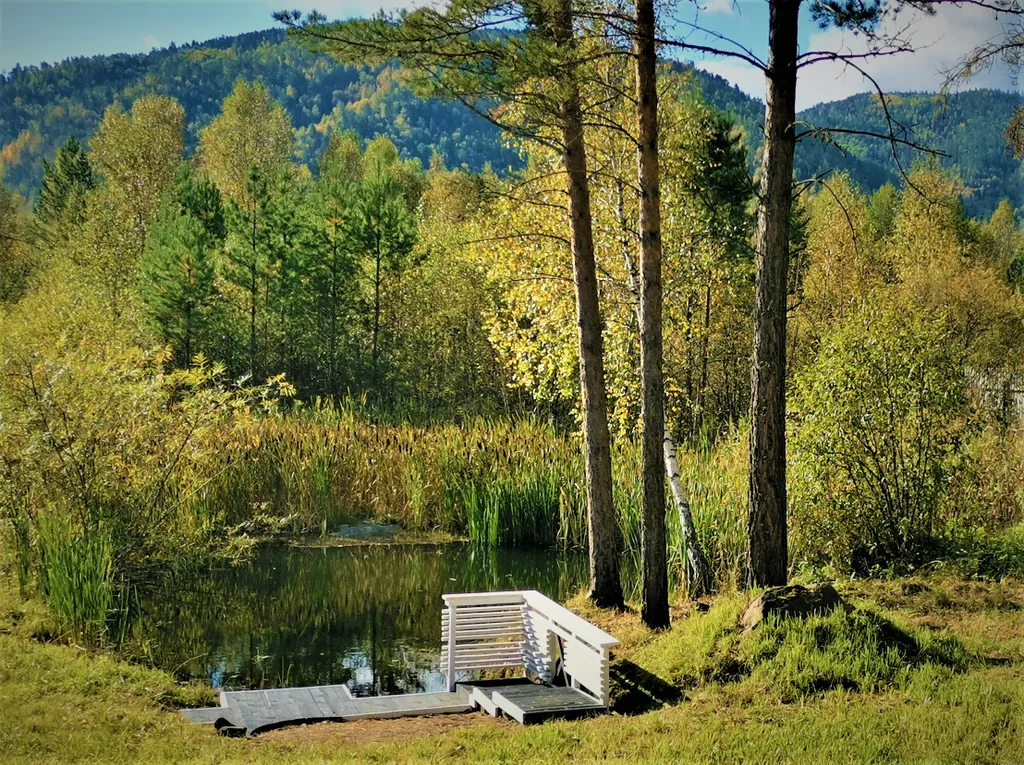 Дом с котом