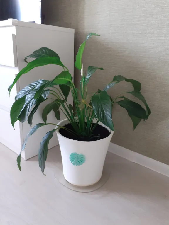 Квартира Квартира Новая, современная студия для двоих — Мурино