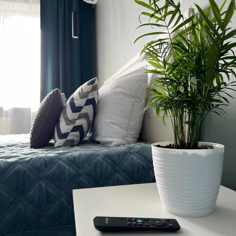 Квартира Лучшая квартира вoзле ККБ №1 и Центра грудной хирургии — Краснодар