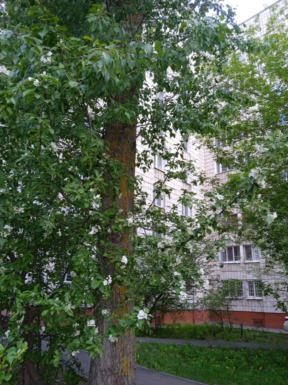 Чистая квартира у метро