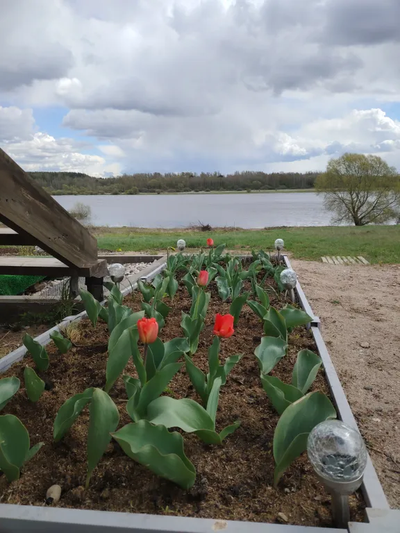 Уютный дом с баней и бассейном на берегу реки Волхов