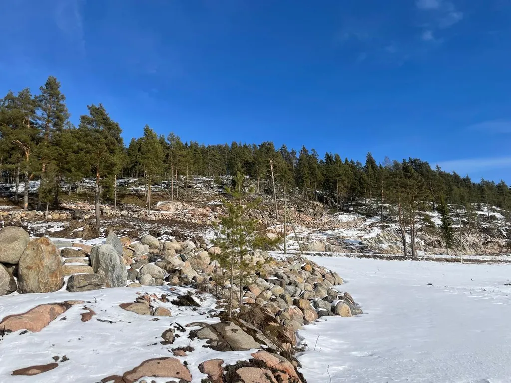 Домик на озере Ихоярви (дом №4)