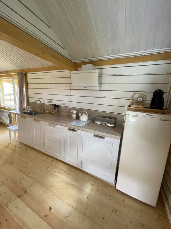 Коттедж Дом-дача Ромашки — Луховицы