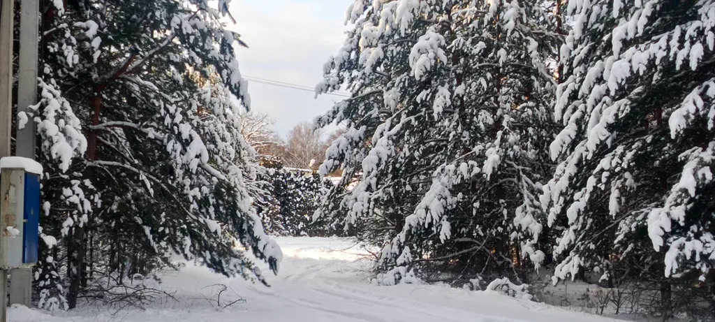 Лесной домик