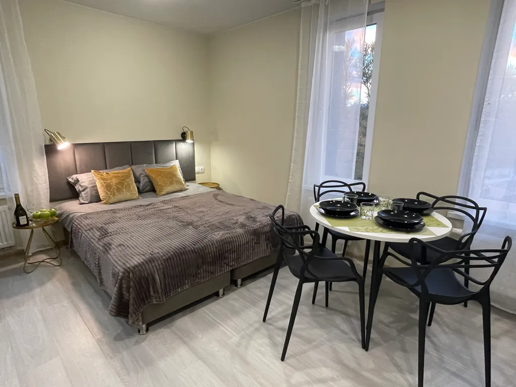 Квартира Квартира Просторный апартамент увеличенной площади зум отель черная речка — Санкт-Петербург