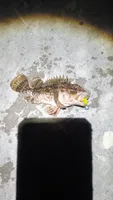 Наталья