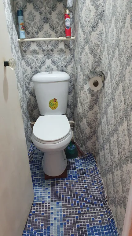 Уютная квартира с ретро обстановкой