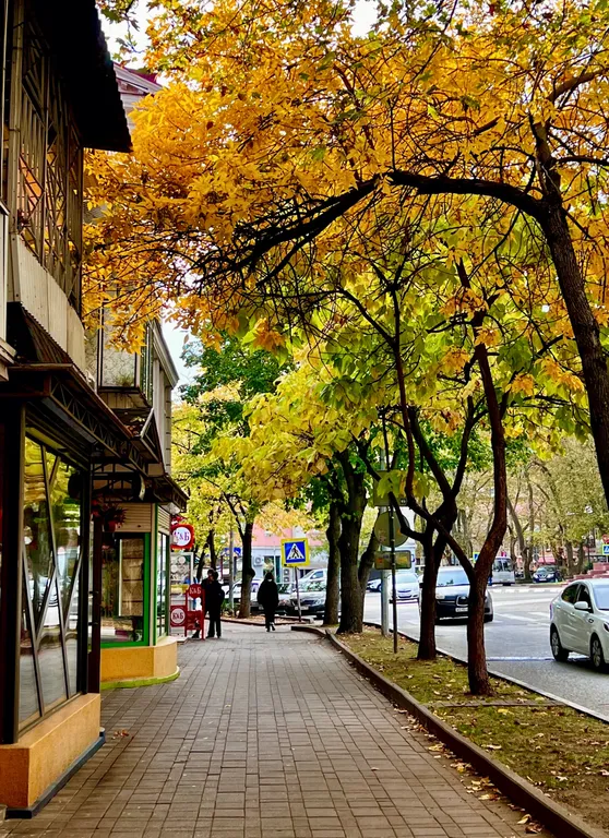 Квартира, центр города