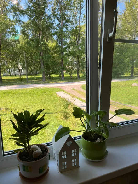 Дом на Красном Посаде