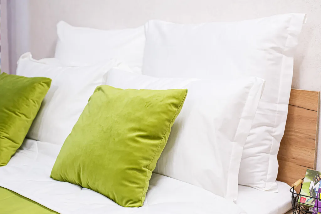 SunSet студия Цветной лев