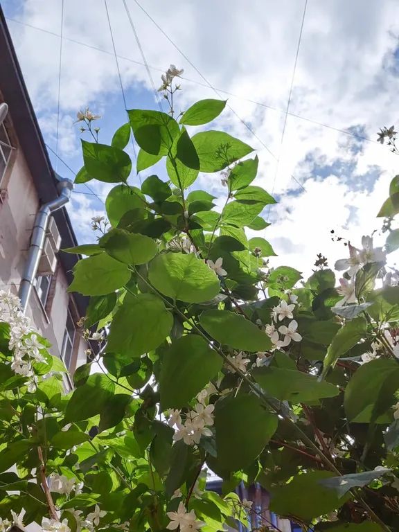 Квартира Комната Густава. Бесконтактный заезд, хранение багажа До Невского 100м — Санкт-Петербург