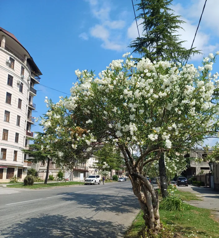 Коттедж Новый апарт-домик с выходом на уютный балкон в 5 минутах от моря — Сухум