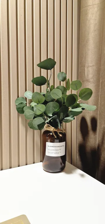 Просторная студия