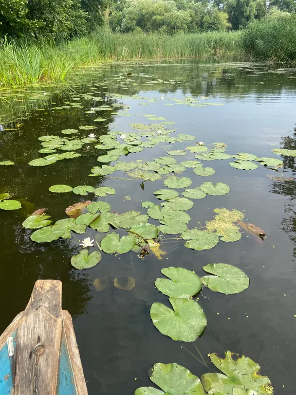 Усадьба На позитиве