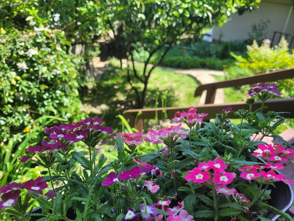 Коттедж 2-комнатный Дом — Сочи