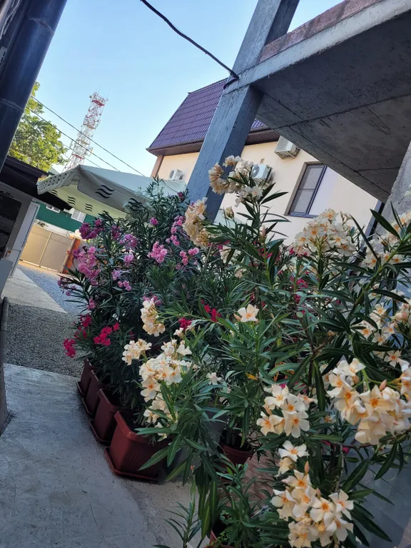 Четырёхместный эконом в центре