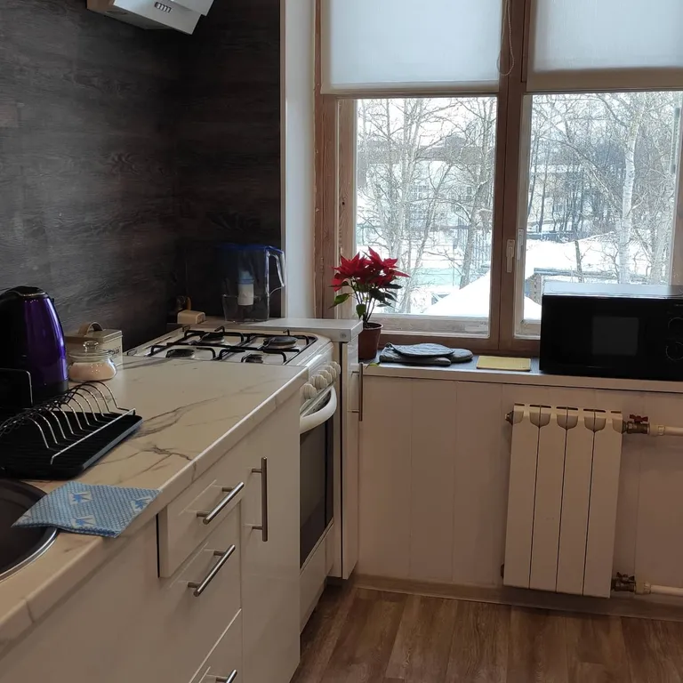 Двухкомнатные апартаменты в самом центре