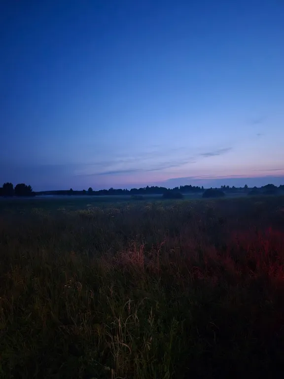 Эко - дом в лесу в гостях у Миродары