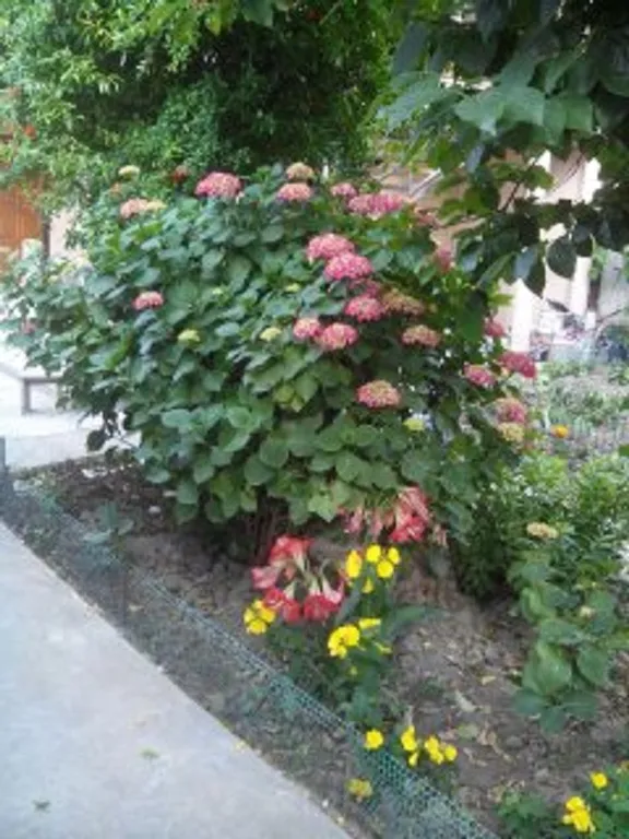 Эконом комната